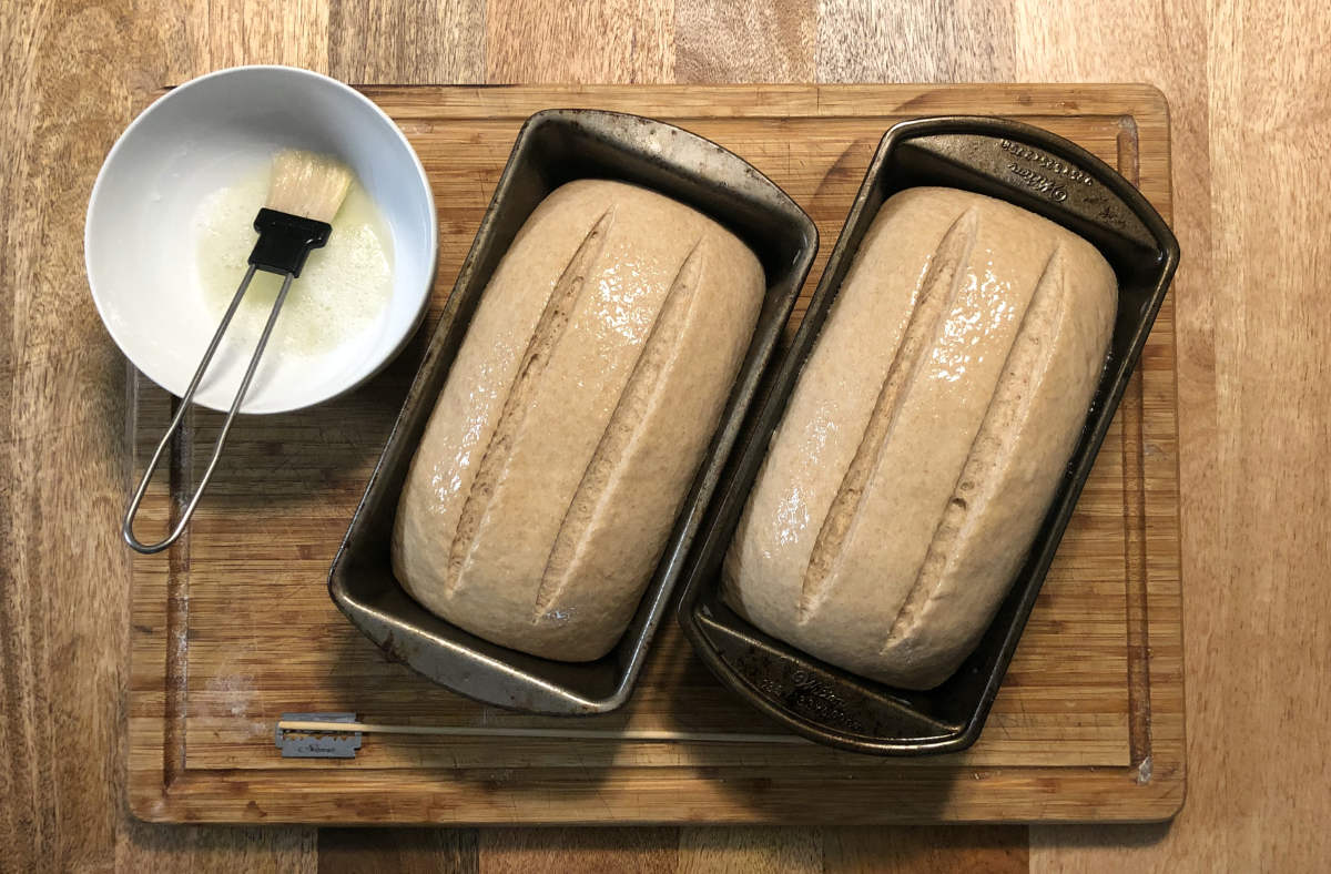 sandwich bread scored and ready to baked