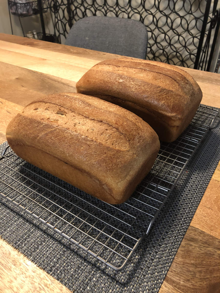 sandwich bread cooling